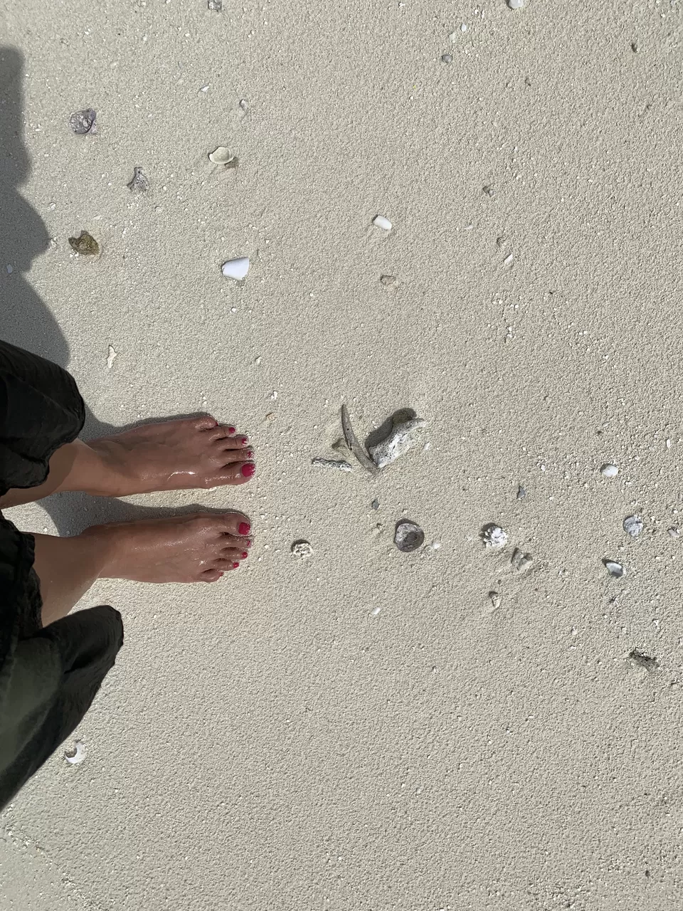 Photo of I LOVED Maldives - A Humble Destination Packed With Surprises! by Kadambari Bhatte (curlytravelmess)