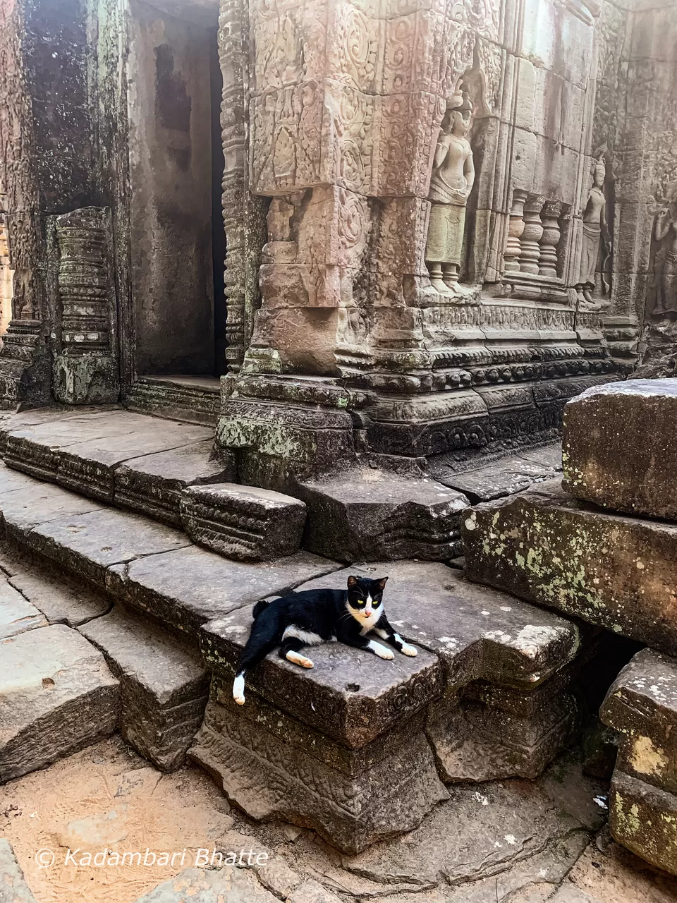 Photo of Preah Khan Temple, Krong Siem Reap, Cambodia by Kadambari Bhatte (curlytravelmess)