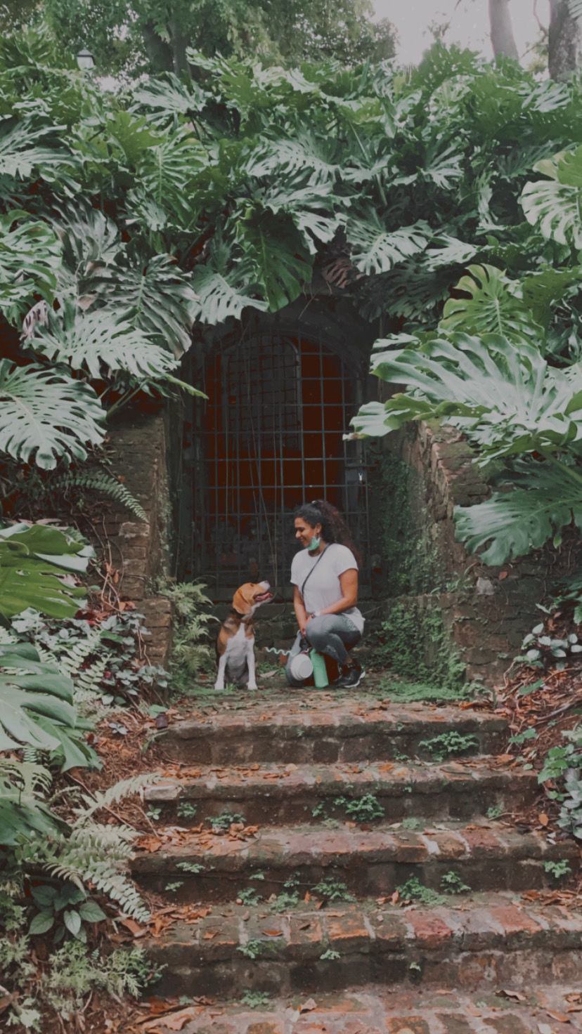 Photo of River Valley Road, Fort Canning Park, Singapore by Kadambari Bhatte (curlytravelmess)