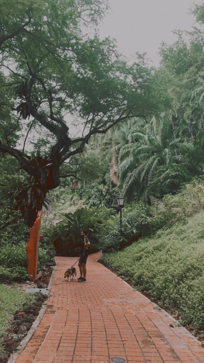 Photo of River Valley Road, Fort Canning Park, Singapore by Kadambari Bhatte (curlytravelmess)