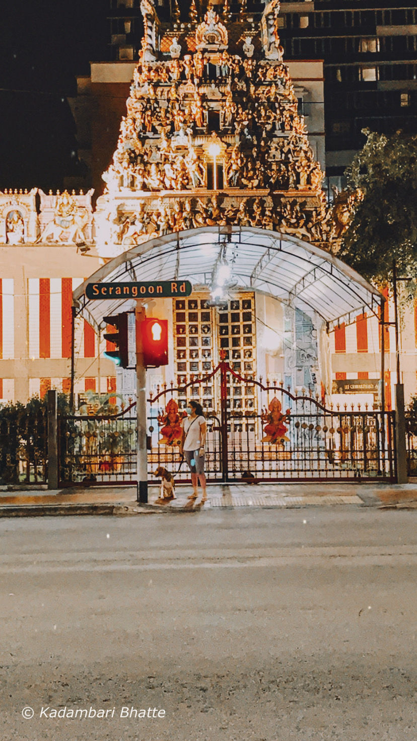 Photo of Little India, Singapore by Kadambari Bhatte (curlytravelmess)