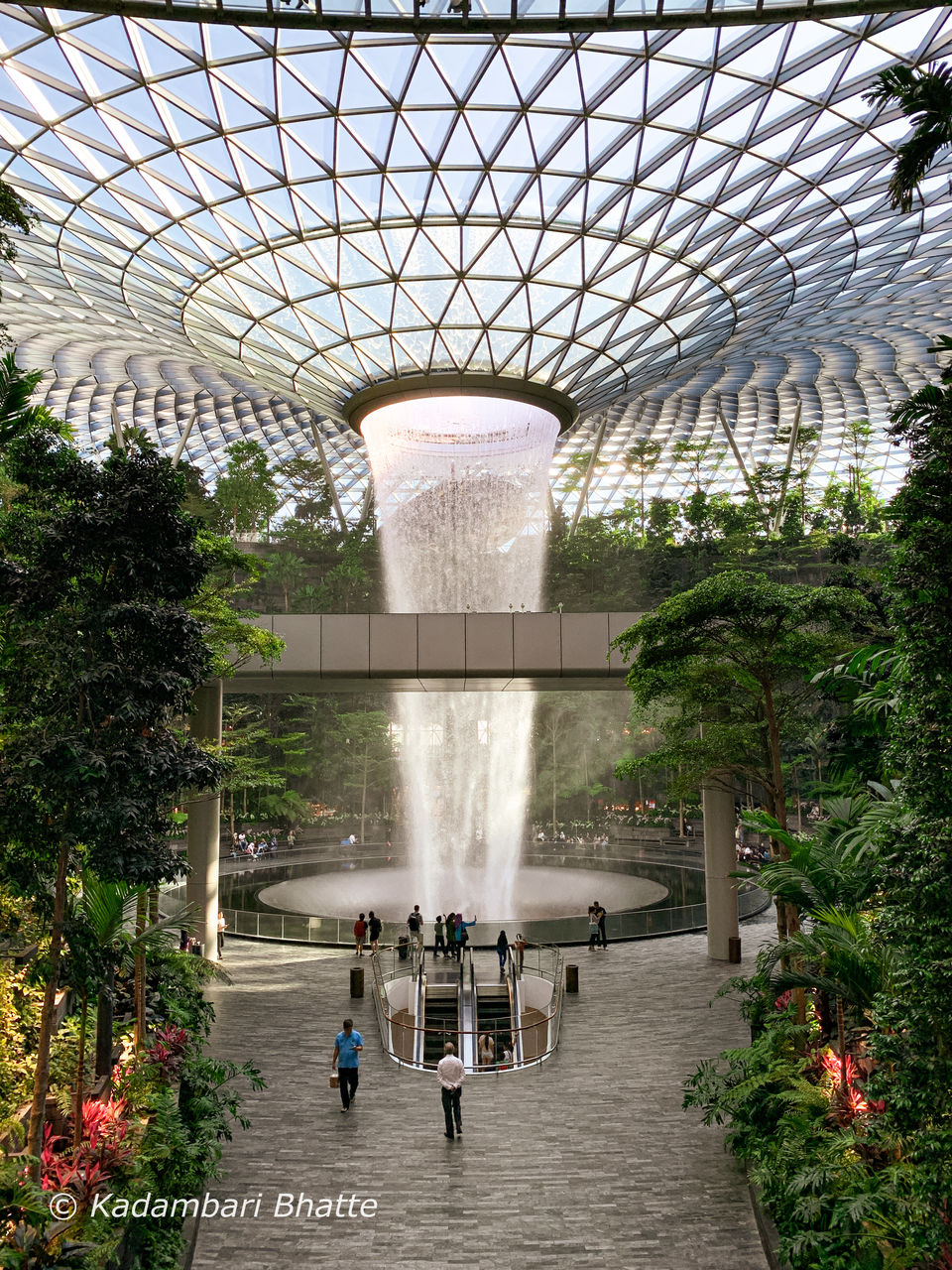 Photo of What Has Kept Me Sane During - This LOCKDOWN IN SINGAPORE! by Kadambari Bhatte (curlytravelmess)