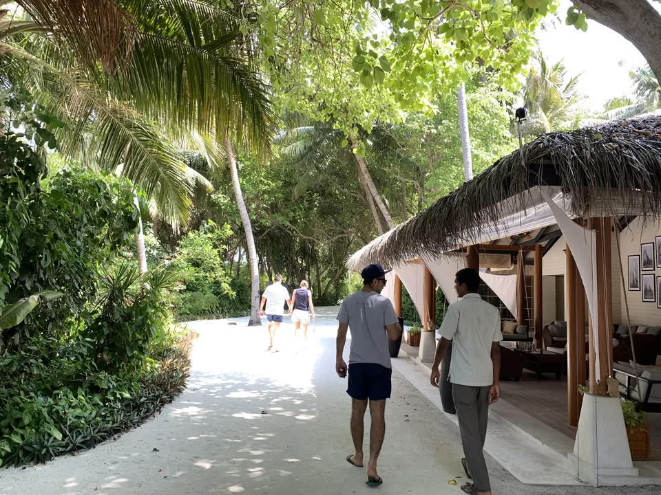Photo of I LOVED Maldives - A Humble Destination Packed With Surprises! by Kadambari Bhatte (curlytravelmess)