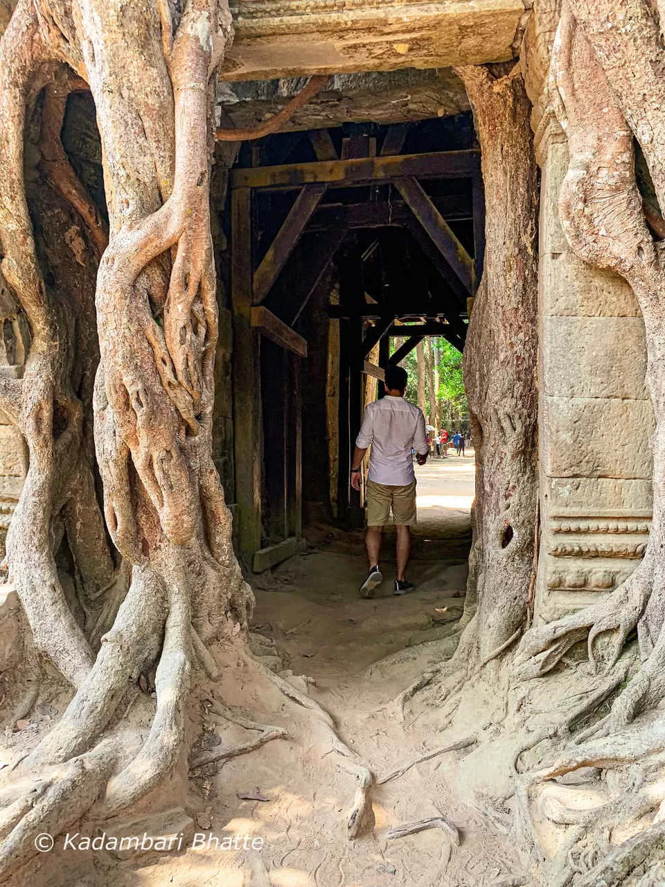 Photo of Everything You Must Know Before Planning a Trip to The Ancient City of Angkor Wat in Cambodia by Kadambari Bhatte (curlytravelmess)