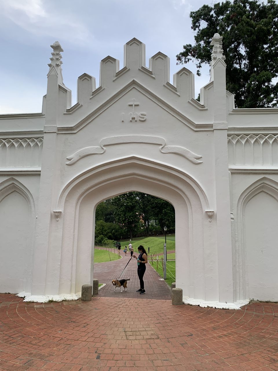 Photo of What Has Kept Me Sane During - This LOCKDOWN IN SINGAPORE! 1/5 by Kadambari Bhatte (curlytravelmess)
