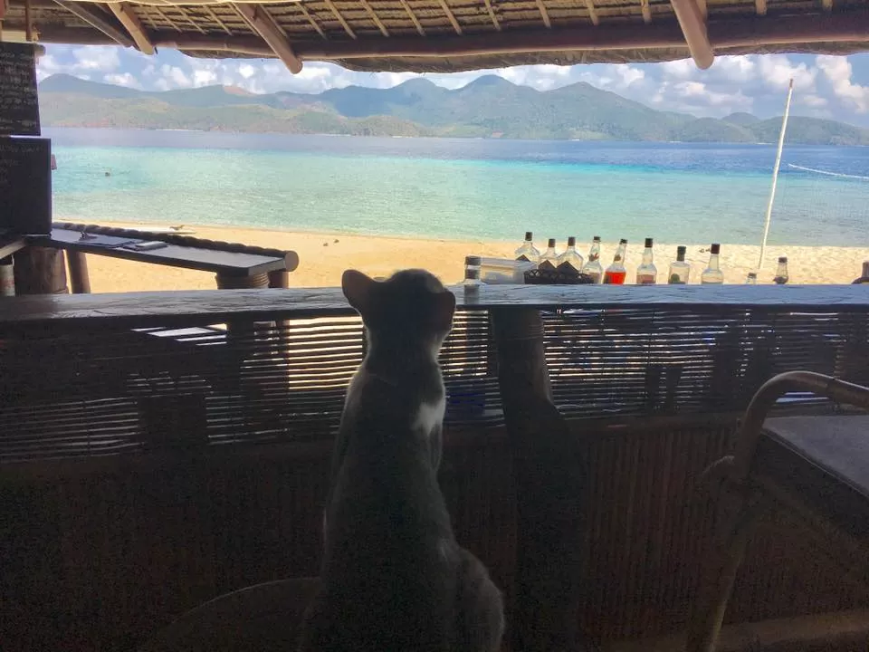 Photo of Bamboo Private Island, Coron, Palawan, Philippines by Kadambari Bhatte (curlytravelmess)