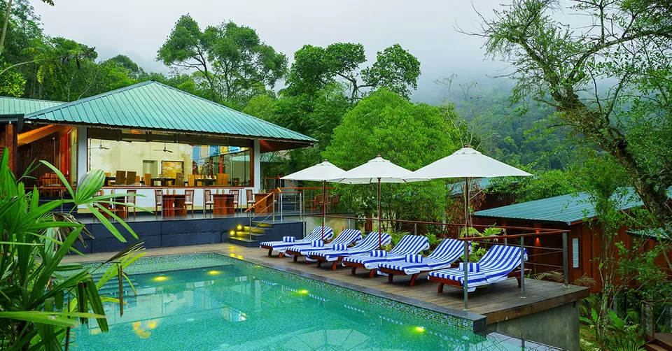 Photo of Niraamaya Cardamom Club, Dindigul - Theni - Kottarakkara Highway, Springvalley, Periyar, Kerala, India by Kadambari Bhatte (curlytravelmess)