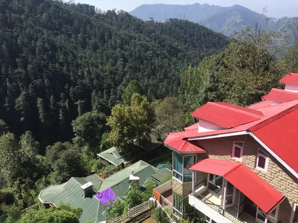 Photo of Whispering Pines Shimla, near CPRI, Kanlog, Shimla, Himachal Pradesh, India by Kadambari Bhatte (curlytravelmess)