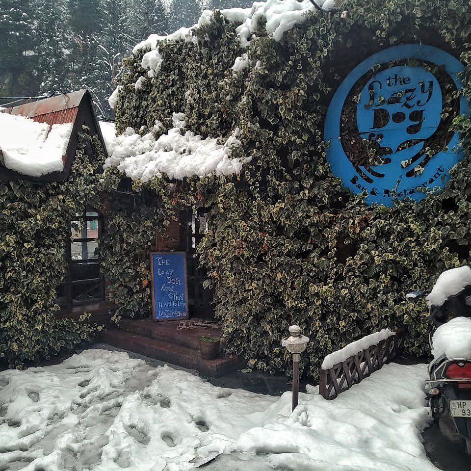 Photo of The Lazy Dog Lounge, Manu Temple Road, Old Manali, Manali, Himachal Pradesh, India by Kadambari Bhatte (curlytravelmess)