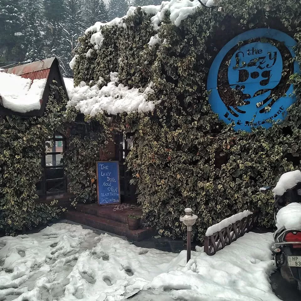Photo of The Lazy Dog Lounge, Manu Temple Road, Old Manali, Manali, Himachal Pradesh, India by Kadambari Bhatte (curlytravelmess)