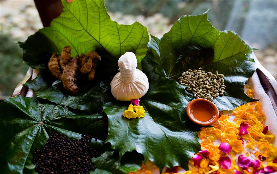 Photo of Carnoustie Ayurveda & Wellness Resort, Perunneermangalam, Mararikkulam North, Kerala, India by Kadambari Bhatte (curlytravelmess)