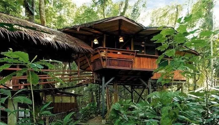Photo of Tree House Cottages, Manali, Himachal Pradesh, India by Kadambari Bhatte (curlytravelmess)