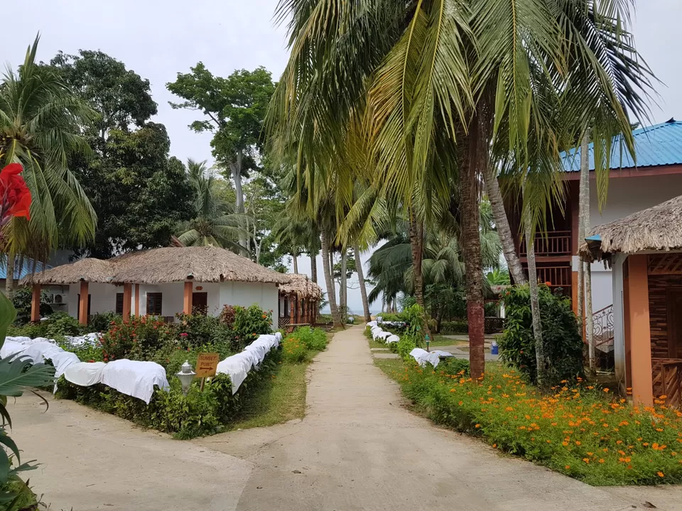 Photo of Neil Island, Andaman and Nicobar Islands by Kadambari Bhatte (curlytravelmess)