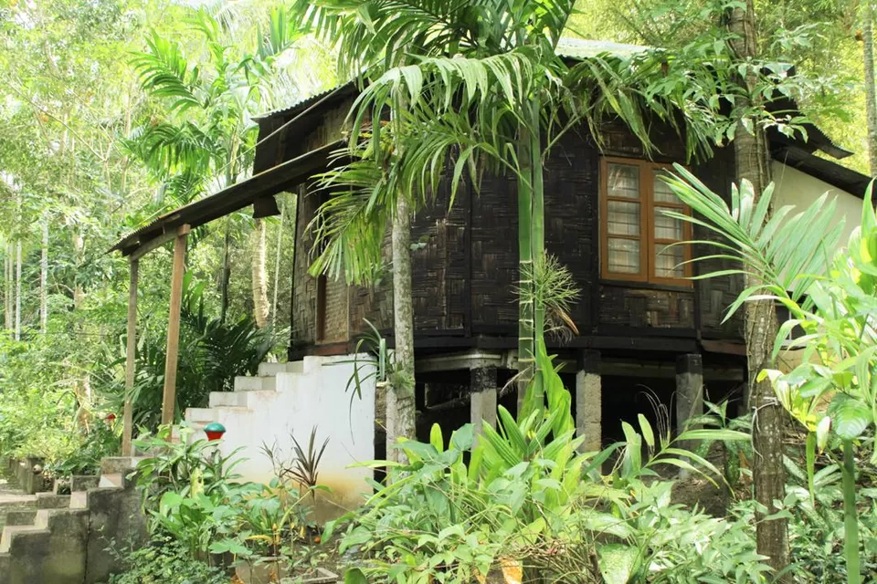 Photo of Palm Grove Eco Resort, Austinabad, Port Blair, Andaman and Nicobar Islands, India by Kadambari Bhatte (curlytravelmess)