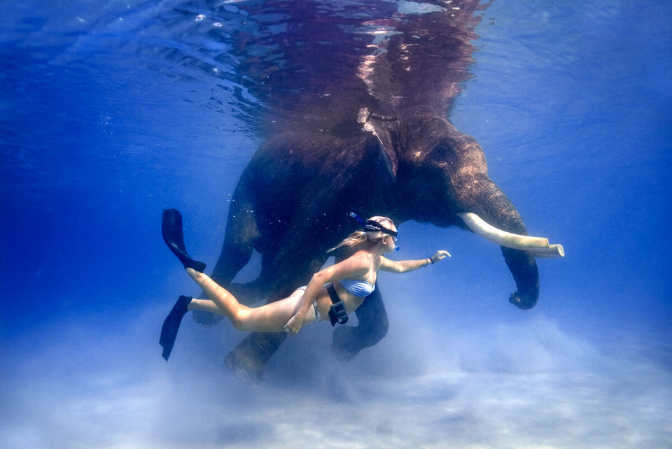 Photo of Explore the Tropics of Andaman Islands and Stay at These 21 Hotels & Resorts Picked for All Budgets by Kadambari Bhatte (curlytravelmess)