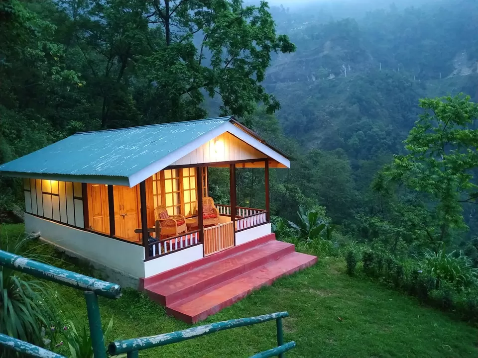 Photo of Enchanted Forest Farm, Gangtok, Sikkim, India by Kadambari Bhatte (curlytravelmess)