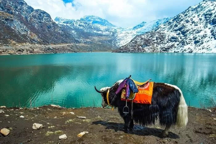 Photo of Tsongmo Lake, Sikkim by Kadambari Bhatte (curlytravelmess)