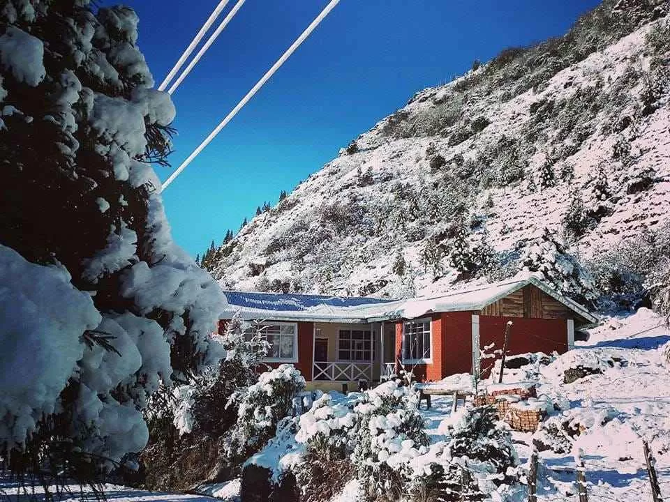 Photo of OurGuest Camp Lachung, Bichu Lower Lachung, Mangan, Sikkim, India by Kadambari Bhatte (curlytravelmess)