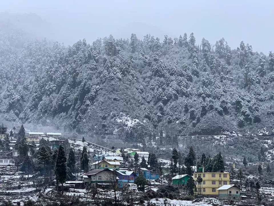 Photo of Tashi Gakhil Lodge, Doctor SM Das Road, Limbugaon, Darjeeling, West Bengal, India by Kadambari Bhatte (curlytravelmess)