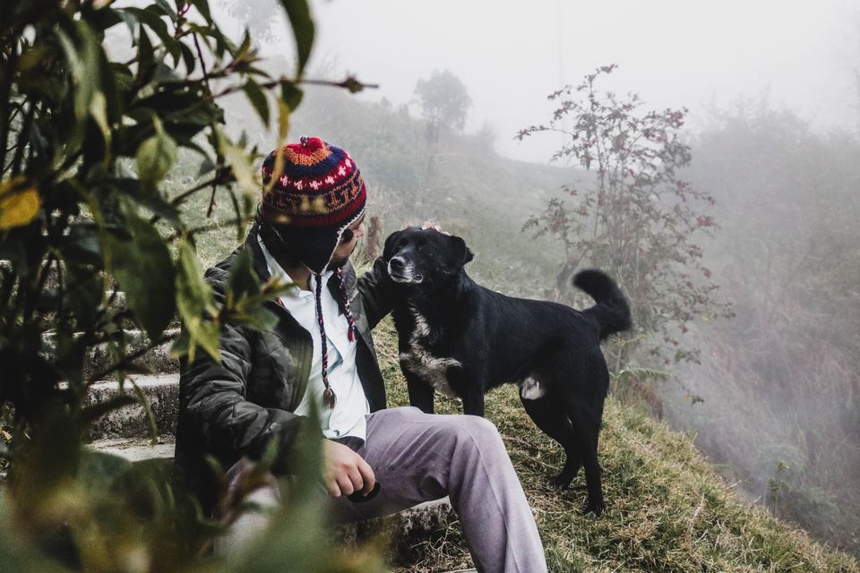 Photo of Discover Sikkim's Natural Wonders in These Off Beat Destinations and Stay Amid Mountains by Kadambari Bhatte (curlytravelmess)