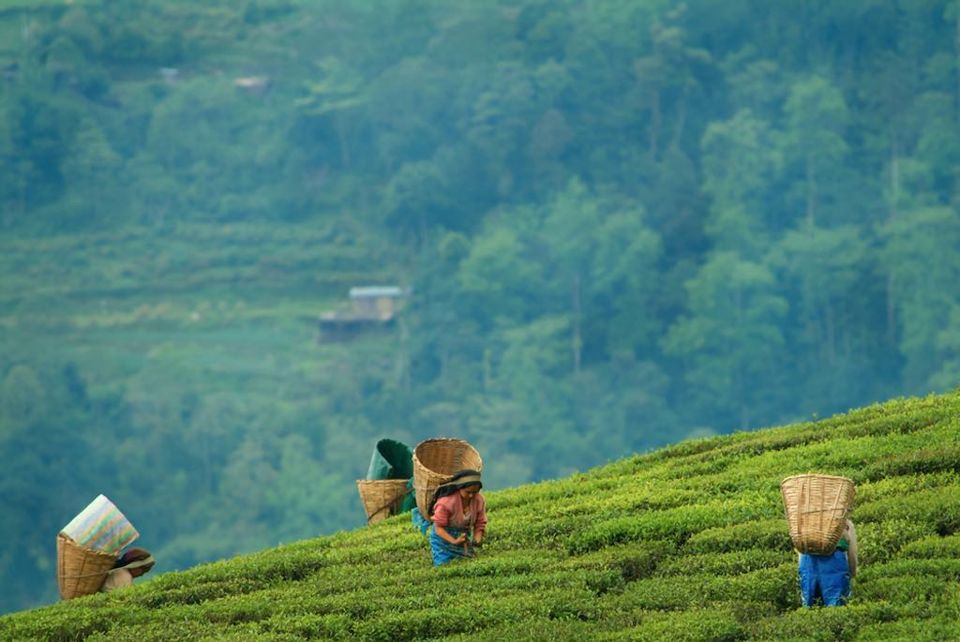 Photo of Discover Sikkim's Natural Wonders in These Off Beat Destinations and Stay Amid Mountains by Kadambari Bhatte (curlytravelmess)