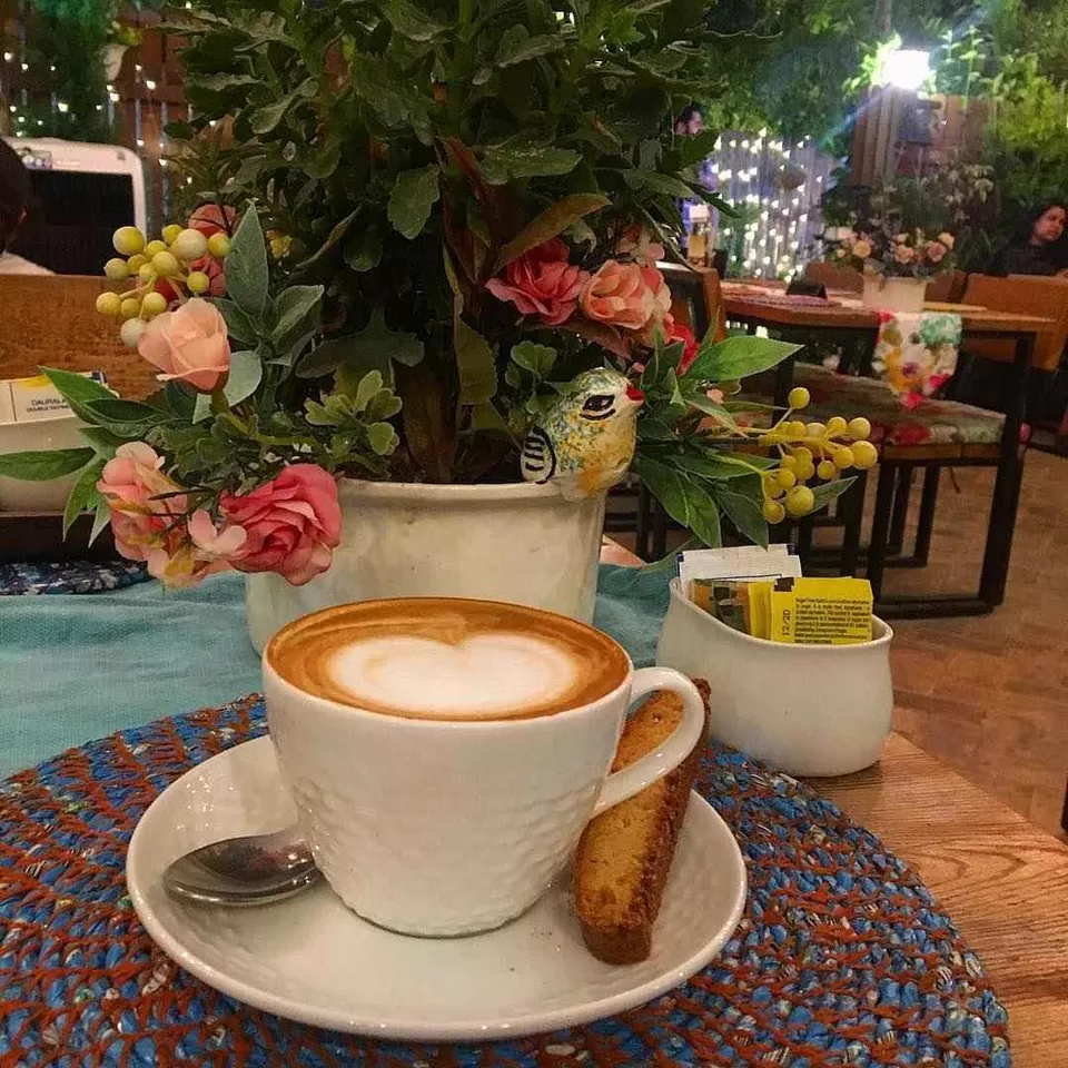 Photo of CAFE JC, 10D, Sector 10, Chandigarh, India by Kadambari Bhatte (curlytravelmess)