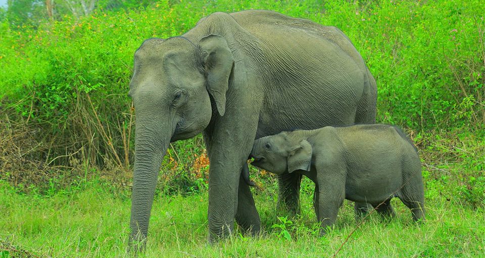 Photo of Under Rs. 3,500, These Properties Across India Offer the Best Escapade for Adventurous Couples 1/12 by Kadambari Bhatte (curlytravelmess)