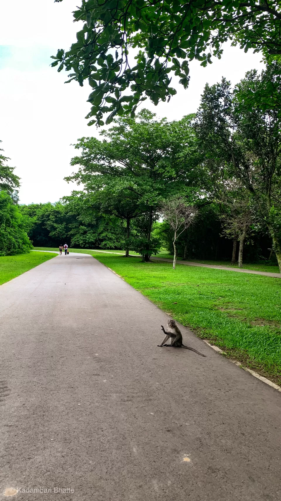 Photo of The Southern Islands of Singapore are a Hidden Gem with Blue Waters & White Sand Beaches by Kadambari Bhatte (curlytravelmess)