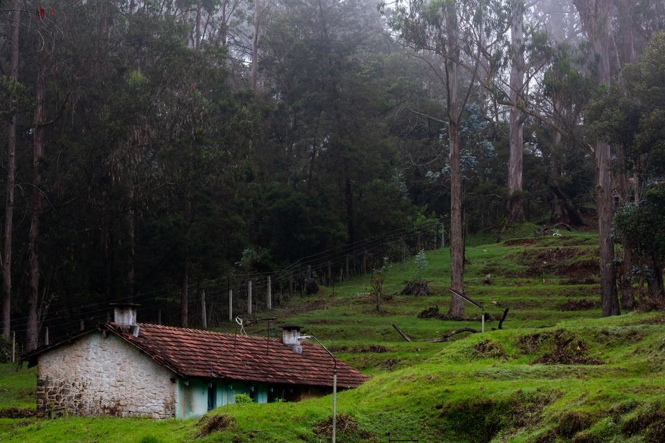 Photo of These Are The 15 Best Hill Stations in India You Must Explore Atleast Once in Your Lifetime! by Kadambari Bhatte (curlytravelmess)