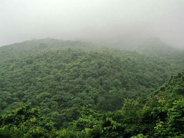 Photo of These Are The 15 Best Hill Stations in India You Must Explore Atleast Once in Your Lifetime! by Kadambari Bhatte (curlytravelmess)