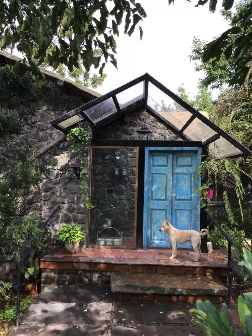 Photo of Mogra Organic Farm, Somavadi, Maharashtra, India by Kadambari Bhatte (curlytravelmess)