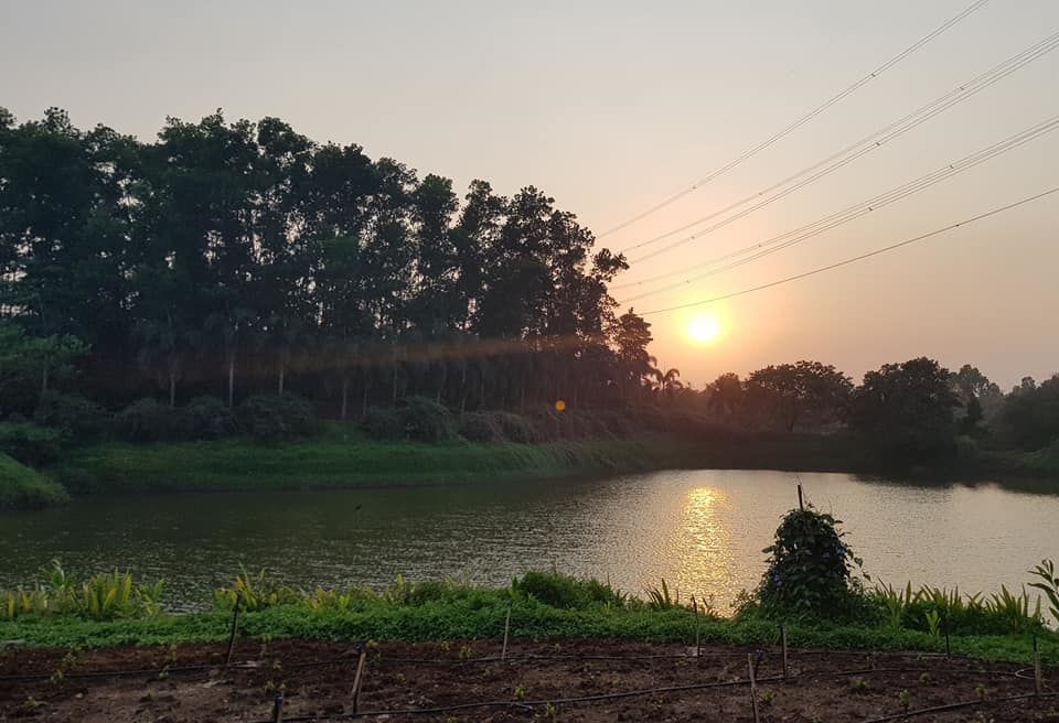 Photo of 'Saltt' is the New Farmhouse And Restaurant in Karjat Surrounded by Nature - Perfect for Monsoons! by Kadambari Bhatte (curlytravelmess)