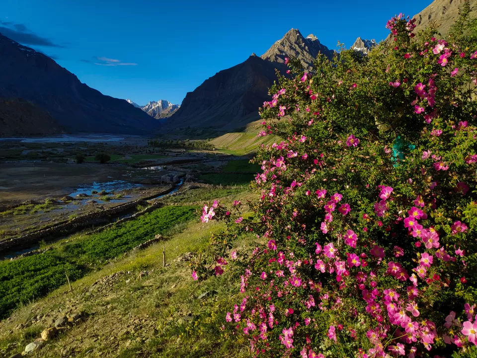 Photo of Take the Road Less Travelled to These Unexplored Places in Spiti Valley by Kadambari Bhatte (curlytravelmess)