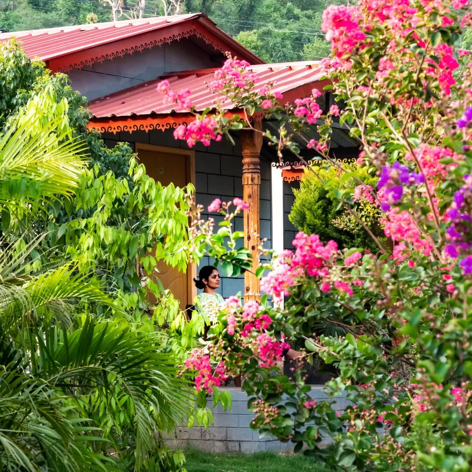 Photo of 10 Utterly Romantic Hill Resorts Close to Delhi to Get Cozy with Your Partner by Kadambari Bhatte (curlytravelmess)