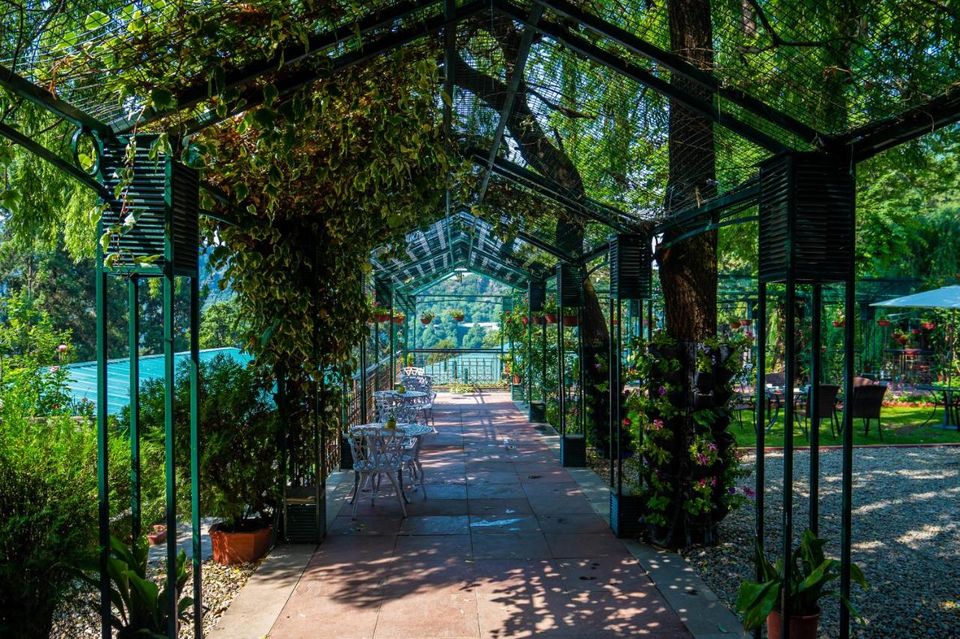 Photo of 10 Utterly Romantic Hill Resorts Close to Delhi to Get Cozy with Your Partner by Kadambari Bhatte (curlytravelmess)