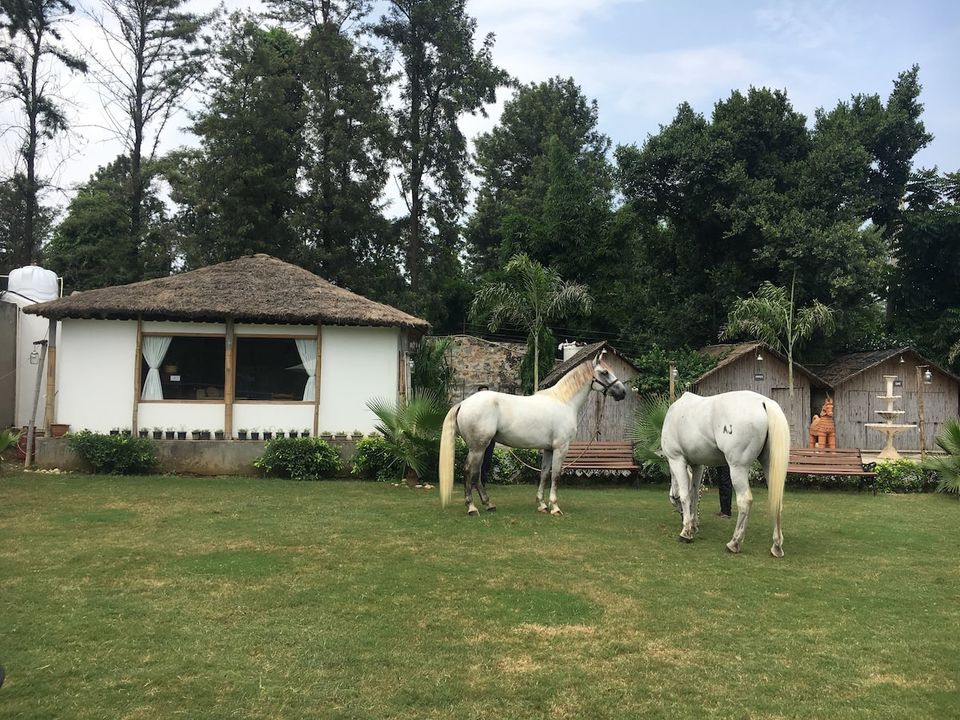 Photo of Delhi People Tired of Staying at Home? These Unique AirBnB's Are Worth Planning a Weekend Getaway! by Kadambari Bhatte (curlytravelmess)