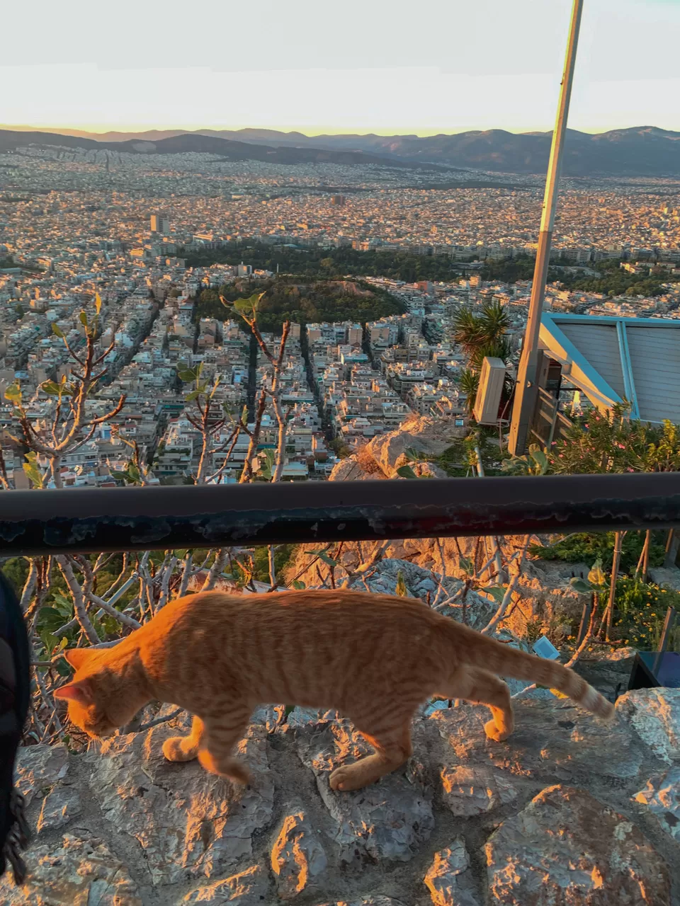 Photo of Athens, Greece by Kadambari Bhatte (curlytravelmess)