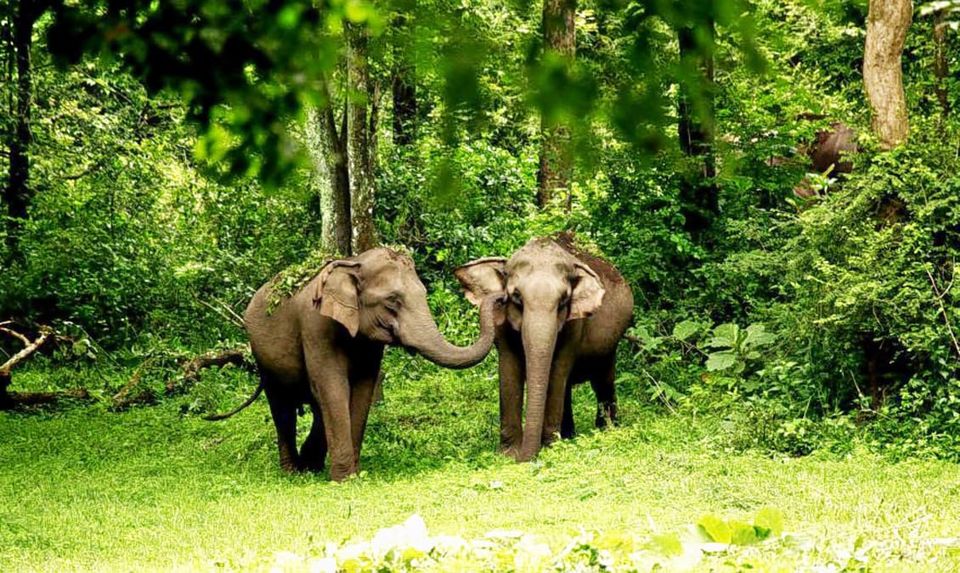 Photo of Heres Where You Can Go For This Dusshera Long Weekend near Your City by Kadambari Bhatte (curlytravelmess)