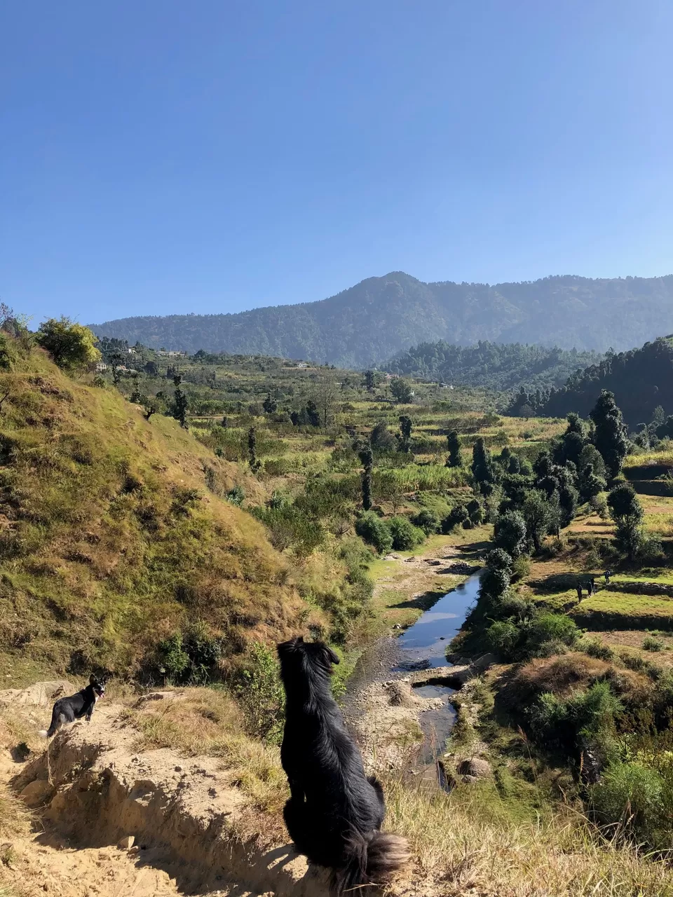Photo of Only Seven Hours From Delhi is This Marvellous Retreat Ideal For Your Next Weekend Getaway by Kadambari Bhatte (curlytravelmess)