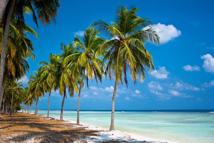 Photo of Forget Maldives, Here's Your complete Guide to Lakshadweep, the Hottest Travel Destination for 2024! by Kadambari Bhatte (curlytravelmess)