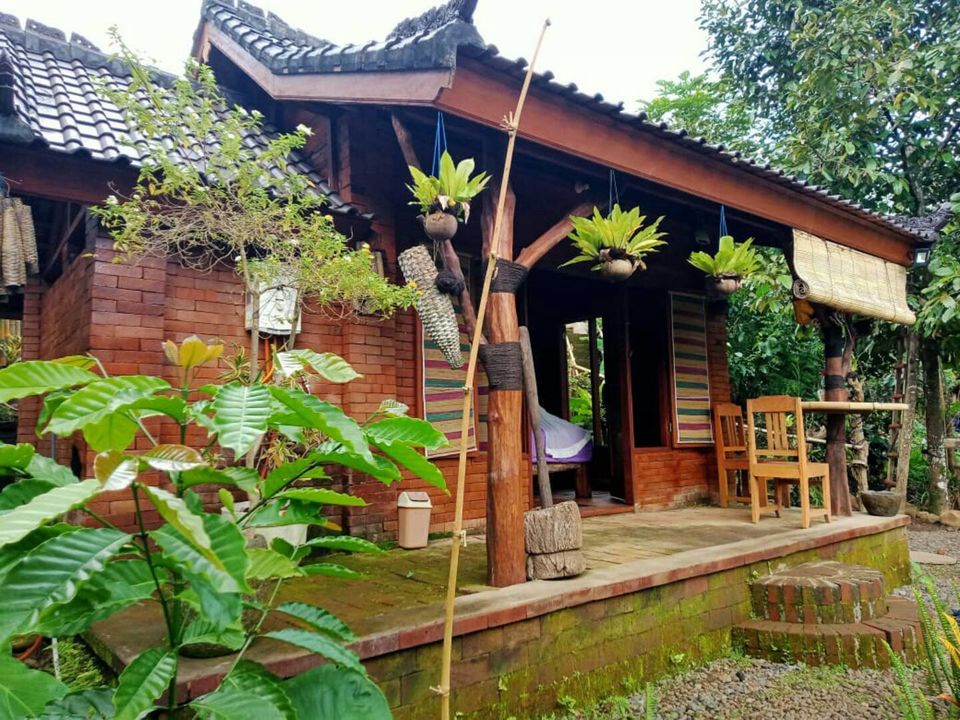 Photo of For Just Rs 1,000 Stay At the 11 Best Hostels & Homestays in Bali! 11/11 by Kadambari Bhatte (curlytravelmess)