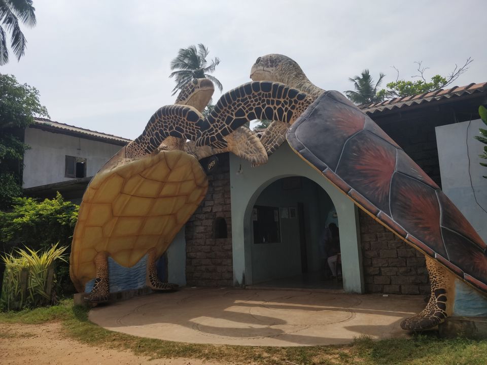Photo of Bentota by Ankita Ghosh