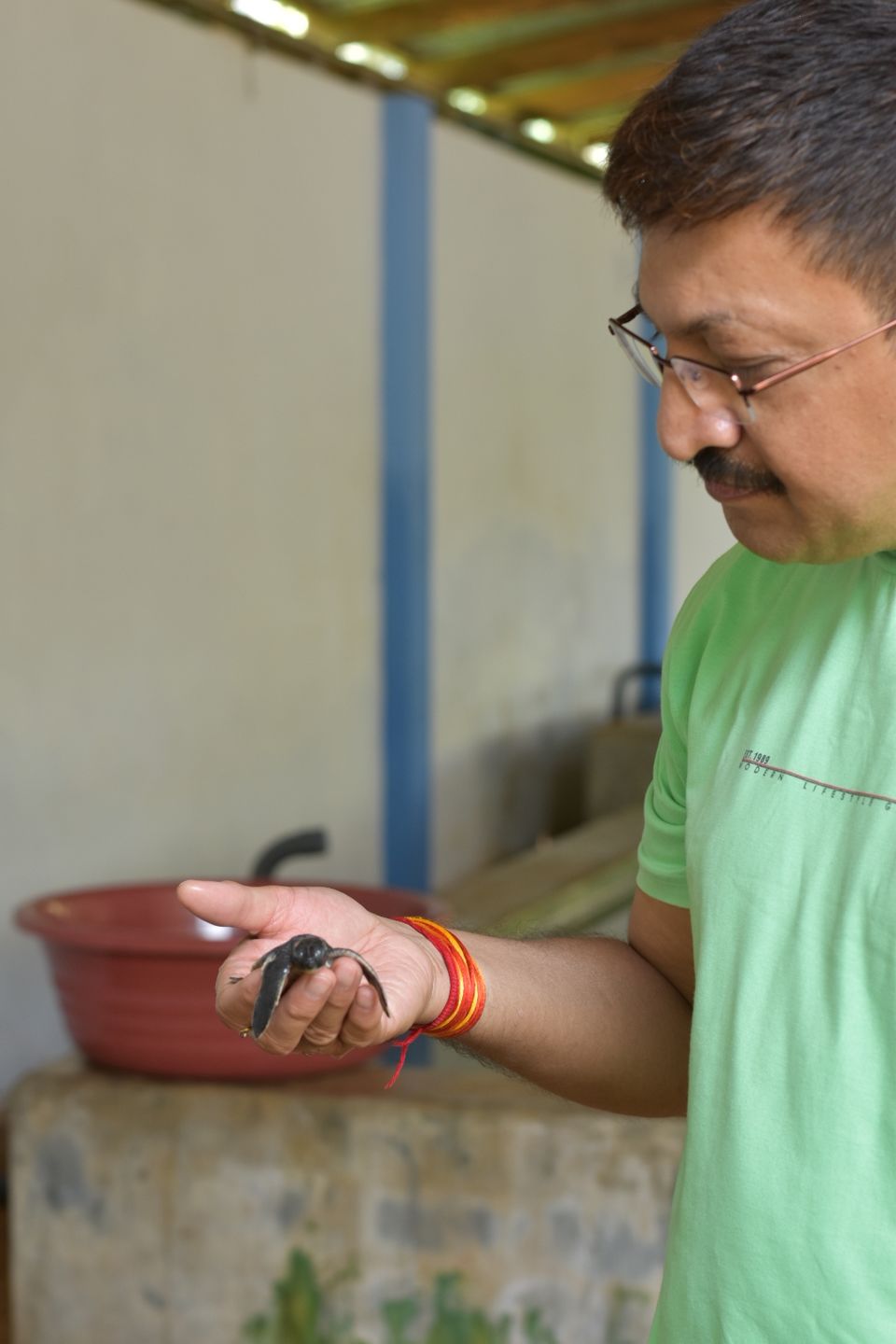Photo of Kosgoda Sea Turtle Conservation Project, A2, Kosgoda, Sri Lanka by Ankita Ghosh