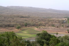 Photo of Kachida, Kacheeda Kalan, Rajasthan, India by Cauvery Nair