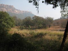 Photo of Lakarda, Sawai Madhopur, Rajasthan, India by Cauvery Nair