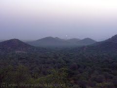 Photo of Kachida, Kacheeda Kalan, Rajasthan, India by Cauvery Nair