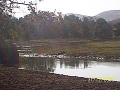 Photo of Lakarda, Sawai Madhopur, Rajasthan, India by Cauvery Nair