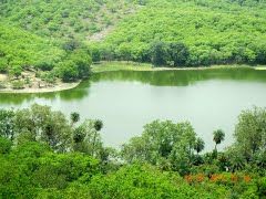 Photo of Padam Talab, Qila Ranthambor, Rajasthan, India by Cauvery Nair