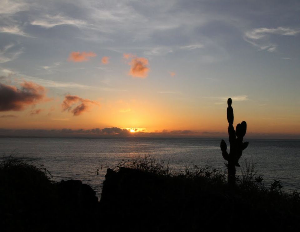 Photo of La Loberia, Floreana Island by Cauvery Nair
