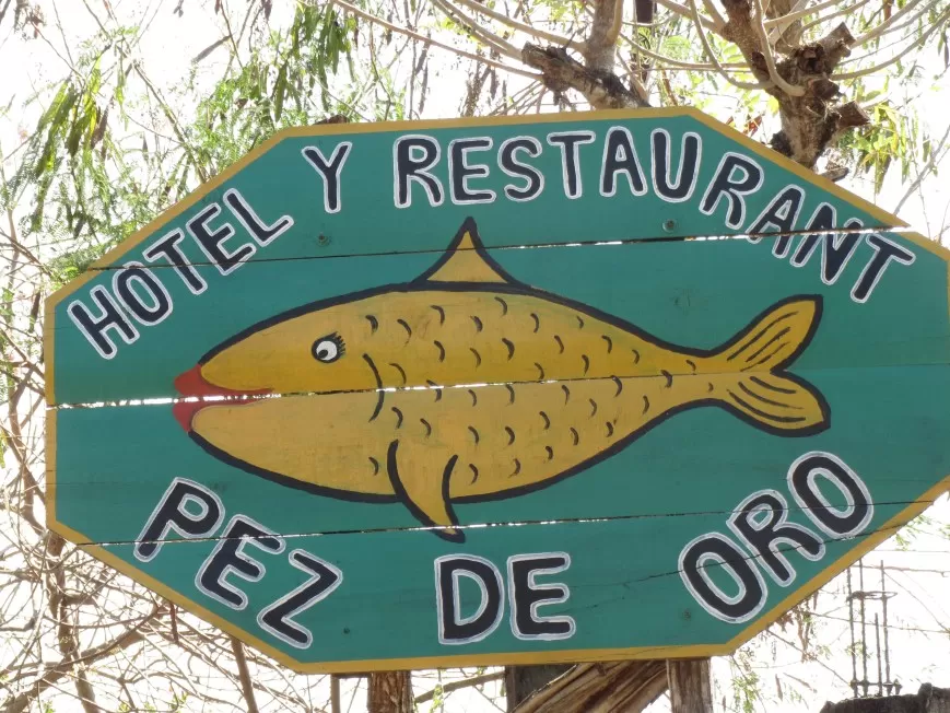 Photo of Hotel Pez de Oro, Monterrico, Santa Rosa, Guatemala by Paula Froelich